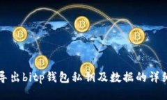 如何导出bitp钱包私钥及数据的详细指南