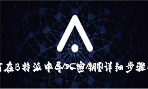 如何在B特派中导入密钥?详细步骤解析