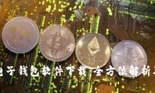数字货币电子钱包软件下载:全方位解析及使用指南