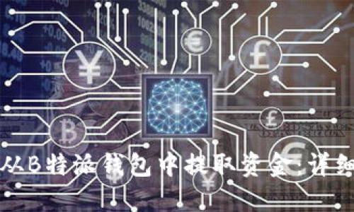 如何从B特派钱包中提取资金:详细指南