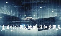 如何查看BitP钱包地址:详细步骤与解析