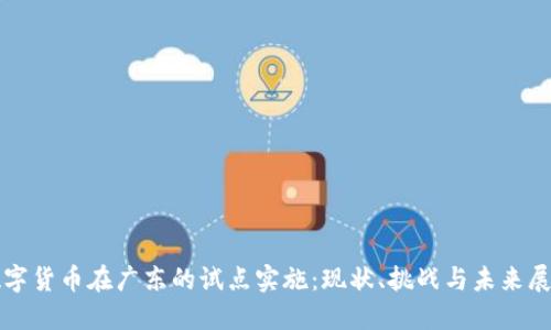 数字货币在广东的试点实施:现状、挑战与未来展望