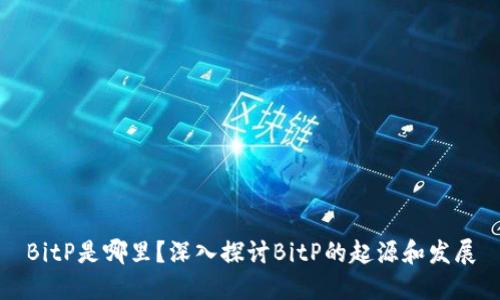 BitP是哪里?深入探讨BitP的起源和发展