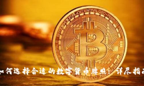 如何选择合适的数字货币牌照: 详尽指南