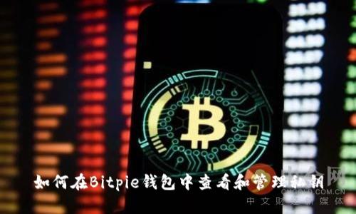如何在Bitpie钱包中查看和管理私钥