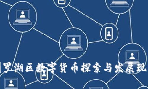 : 深圳罗湖区数字货币探索与发展现状分析