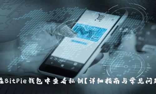 如何在BitPie钱包中查看私钥?详细指南与常见问题解答
