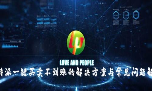 B特派一键买卖不到账的解决方案与常见问题解析
