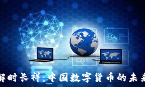   
深入了解时长祥：中国数字货币的未来与现状