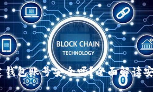 在b特派创建钱包账号安全吗？全面解读安全性与风险