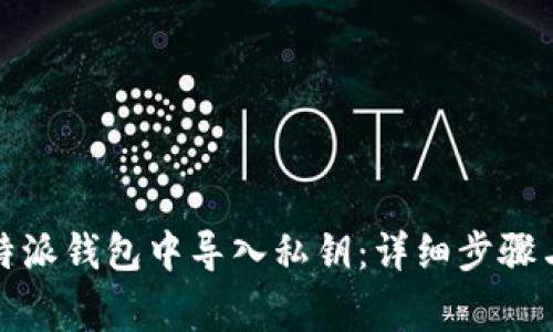 如何在比特派钱包中导入私钥：详细步骤与注意事项