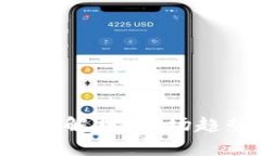 美国国际数字货币的全景解析：市场趋势、主要