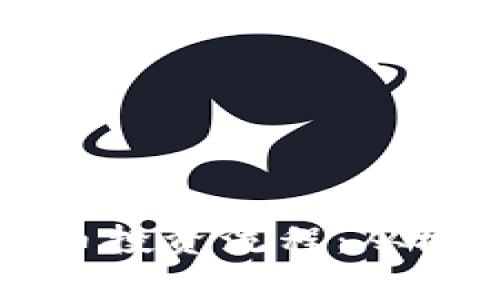 深入解析央行数字货币投资流程：从概念到实践的全景指南