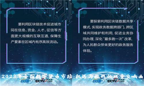 2023年全国数字货币市场：机遇与挑战的双重交响曲