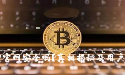 BitP官网安全吗?真相揭秘及用户指南