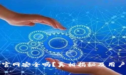 BitP官网安全吗?真相揭秘及用户指南