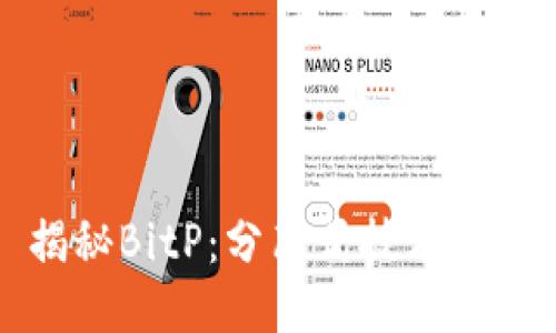 ### 揭秘BitP：分布式技术的未来之路