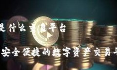 比特派是什么交易平台比特派：安全便捷的数字