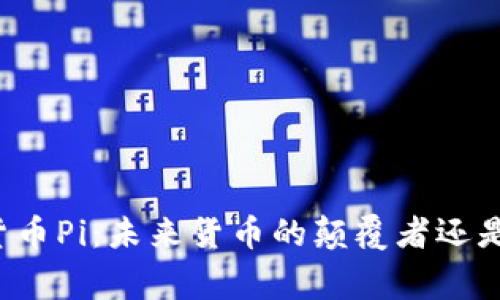 国家数字货币Pi：未来货币的颠覆者还是昙花一现？