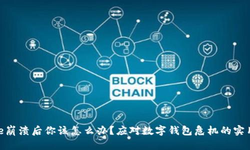 Bitpie崩溃后你该怎么办？应对数字钱包危机的实用指南