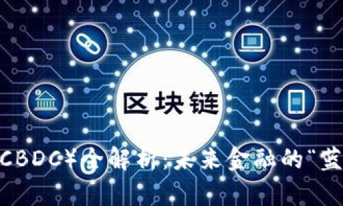 央行数字货币（CBDC）全解析：未来金融的“蓝海”趋势与影响