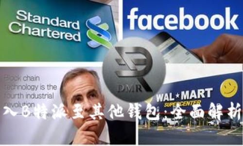 如何高效导入B特派至其他钱包：全面解析与实用技巧