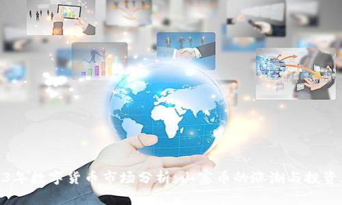 2023年数字货币市场分析：山寨币的涨潮与投资风险