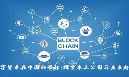 数字货币在中国的崛起：探索本土公司与未来趋势