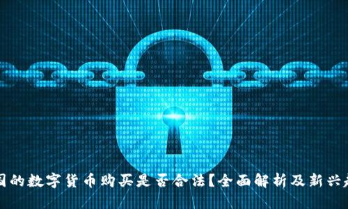 法国的数字货币购买是否合法？全面解析及新兴趋势