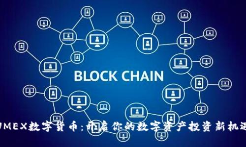 UMEX数字货币：开启你的数字资产投资新机遇