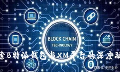 探索B特派钱包与XM平台的深度融合