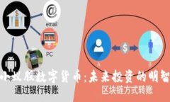 探索小蚁股数字货币：未来投资的明智选择