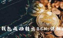如何通过B特派钱包成功转出BCH：详细指南与实用