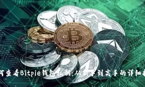 如何查看Bitpie钱包私钥：从新手到高手的详细指南