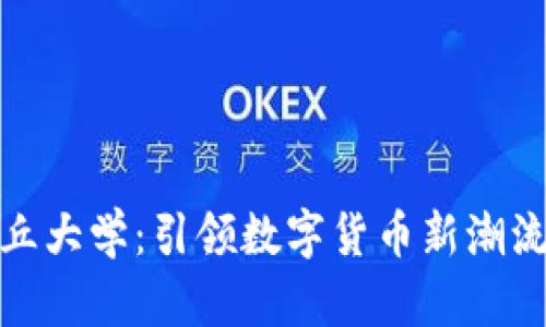 探索沙丘大学：引领数字货币新潮流的学府