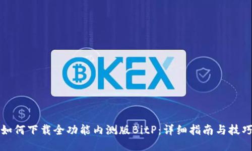 如何下载全功能内测版BitP：详细指南与技巧
