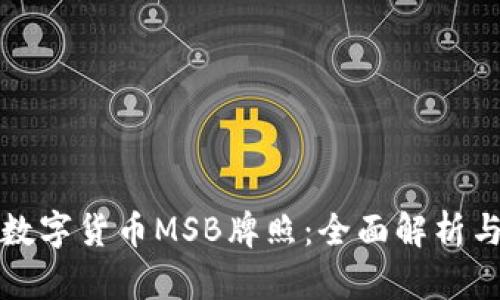如何获得数字货币MSB牌照：全面解析与实操指南