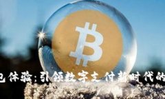 B特派钱包体验：引领数字支付新时代的智能选择