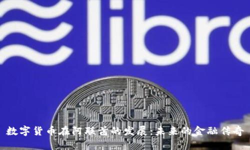 数字货币在阿联酋的发展：未来的金融传奇