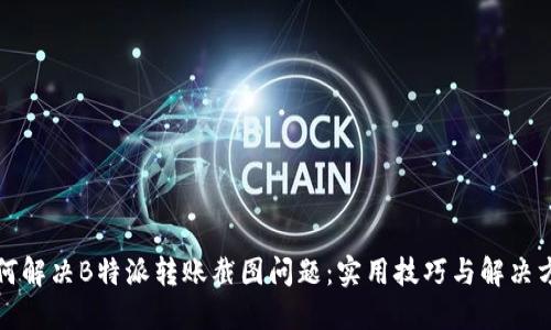 如何解决B特派转账截图问题：实用技巧与解决方案