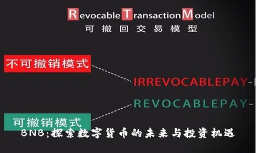 BNB：探索数字货币的未来与投资机遇