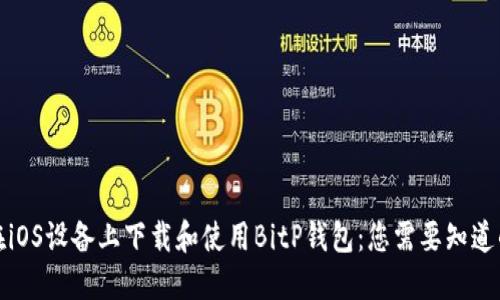 如何在iOS设备上下载和使用BitP钱包：您需要知道的一切