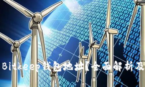 如何查看Bitkeep钱包地址？全面解析及使用技巧