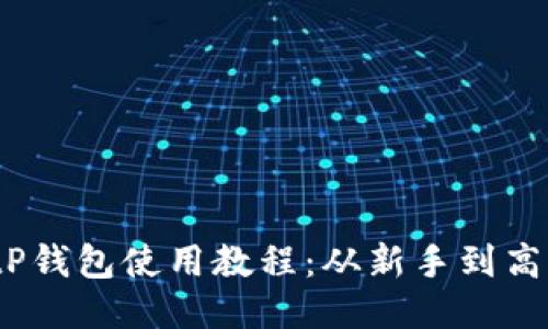 2023年最新BitP钱包使用教程：从新手到高手的全方位指南