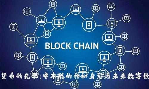 探索数字货币的先驱：中本聪的神秘身影与未来数字经济的魅力