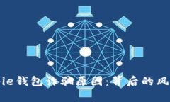 揭秘Bitpie钱包诈骗原因：背后的风险与防范