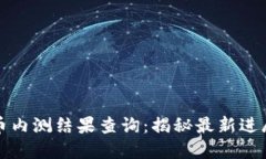 中国数字货币内测结果查询：揭秘最新进展与未