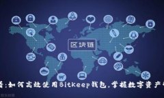 新手必看：如何高效使用BitKeep钱包，掌握数字资