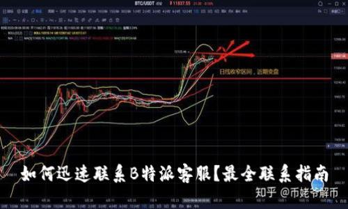 如何迅速联系B特派客服？最全联系指南