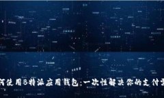 如何使用B特派应用钱包：一次性解决你的支付需